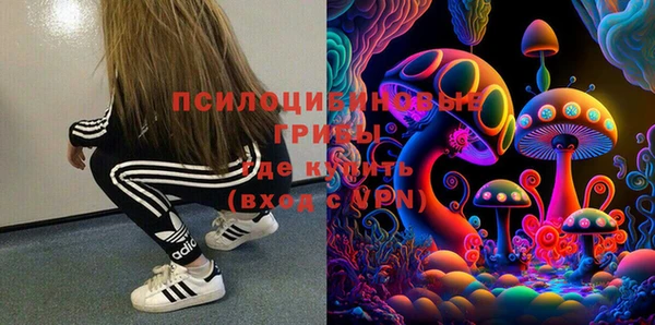 МДПВ Бородино