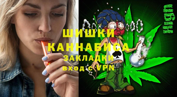 МДПВ Бородино