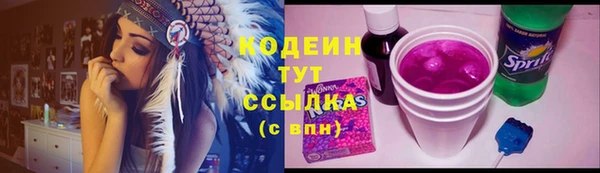 МДПВ Бородино