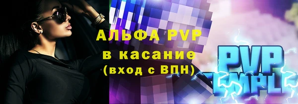 МДПВ Бородино