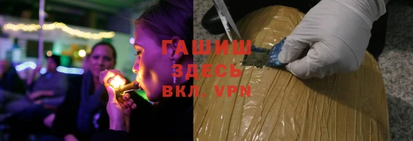 МДПВ Бородино