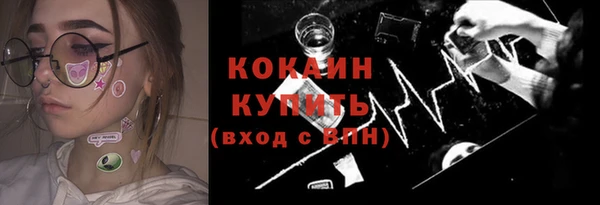 сатива Бронницы