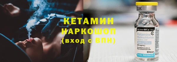 сатива Бронницы