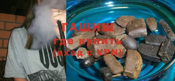 МДПВ Бородино