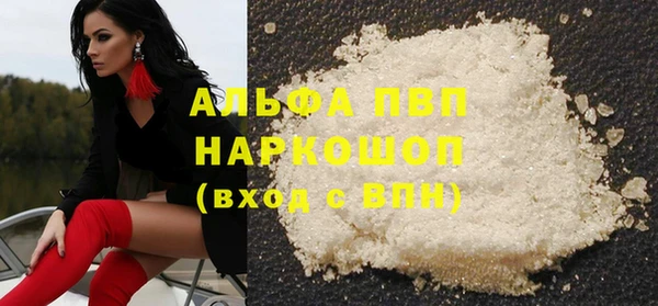 МДПВ Бородино