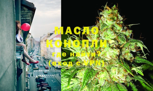 сатива Бронницы