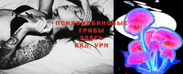 сатива Бронницы