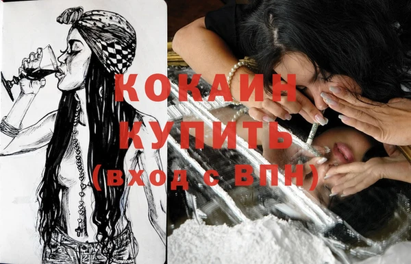 сатива Бронницы