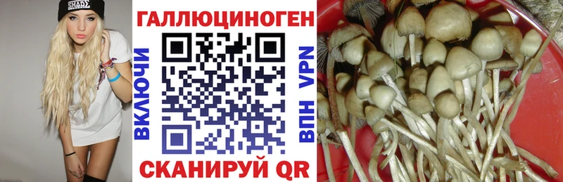 Галлюциногенные грибы прущие грибы  Купить где  Мирный 